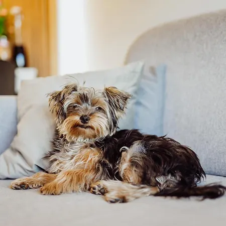 Jp - Karpatia Resort, Mysliwska 5e *